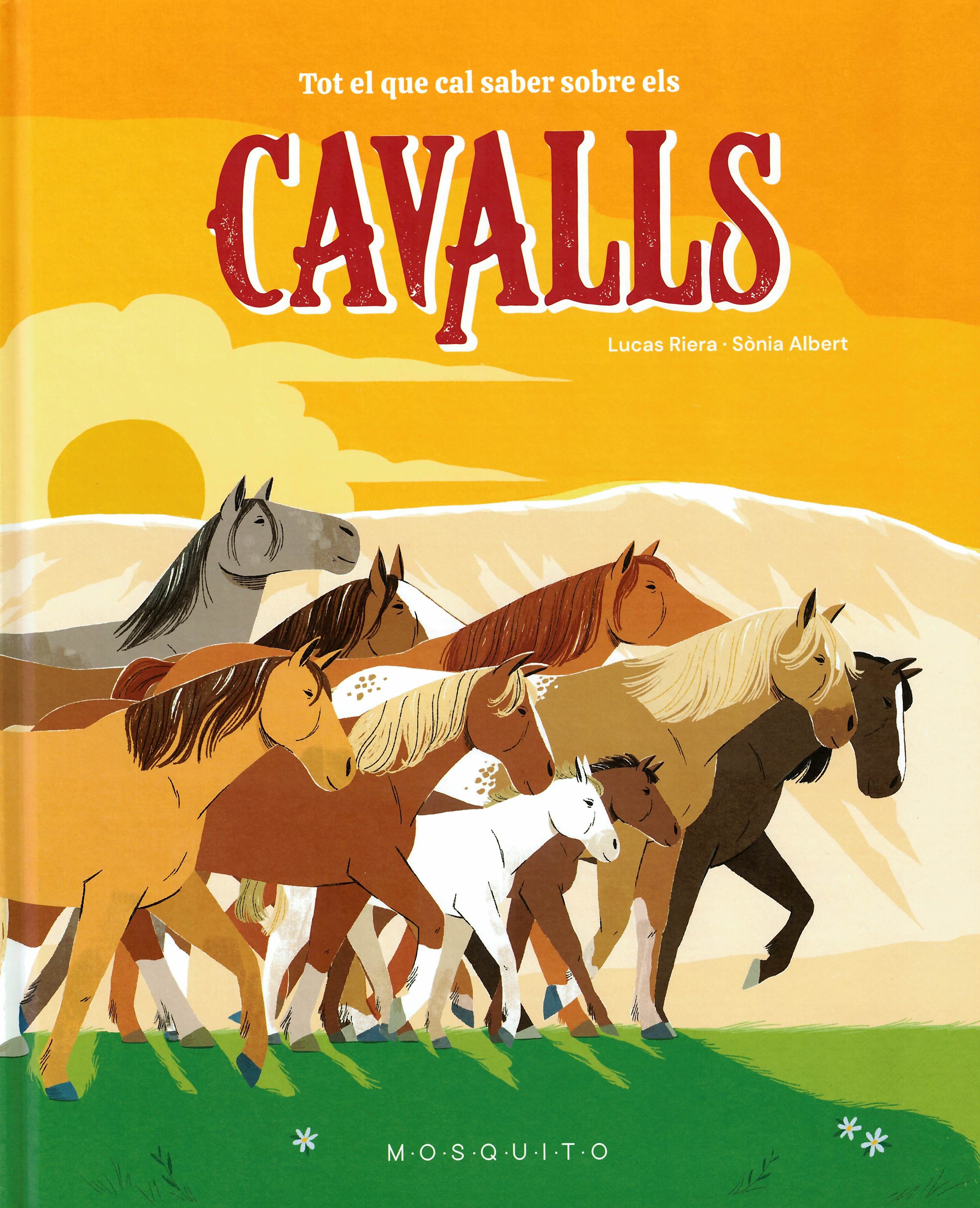 Tot el que cal saber sobre els cavalls 