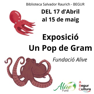 Un pop de gram