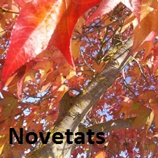 Novetats octubre 2023 Caldes
