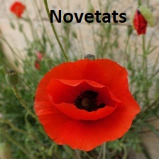 Novetats abril 2025 Caldes