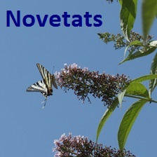 Novetats juliol - agost 2026 Caldes