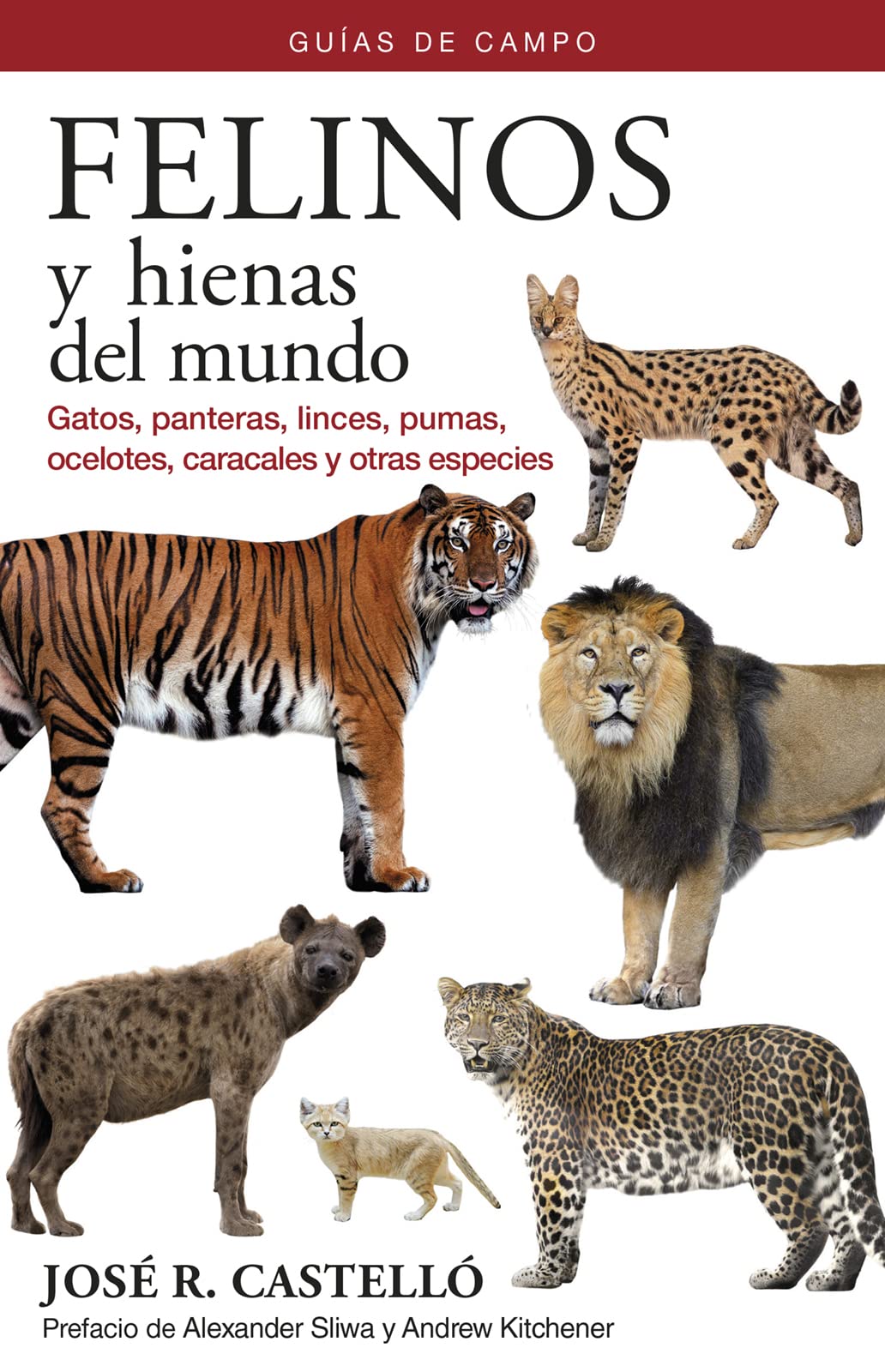 Felinos y hienas del mundo : gatos, panteras, linces, pumas, ocelotes, caracales y otras especies
