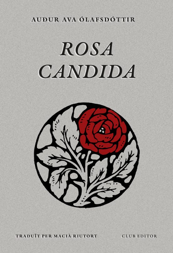 Rosa càndida