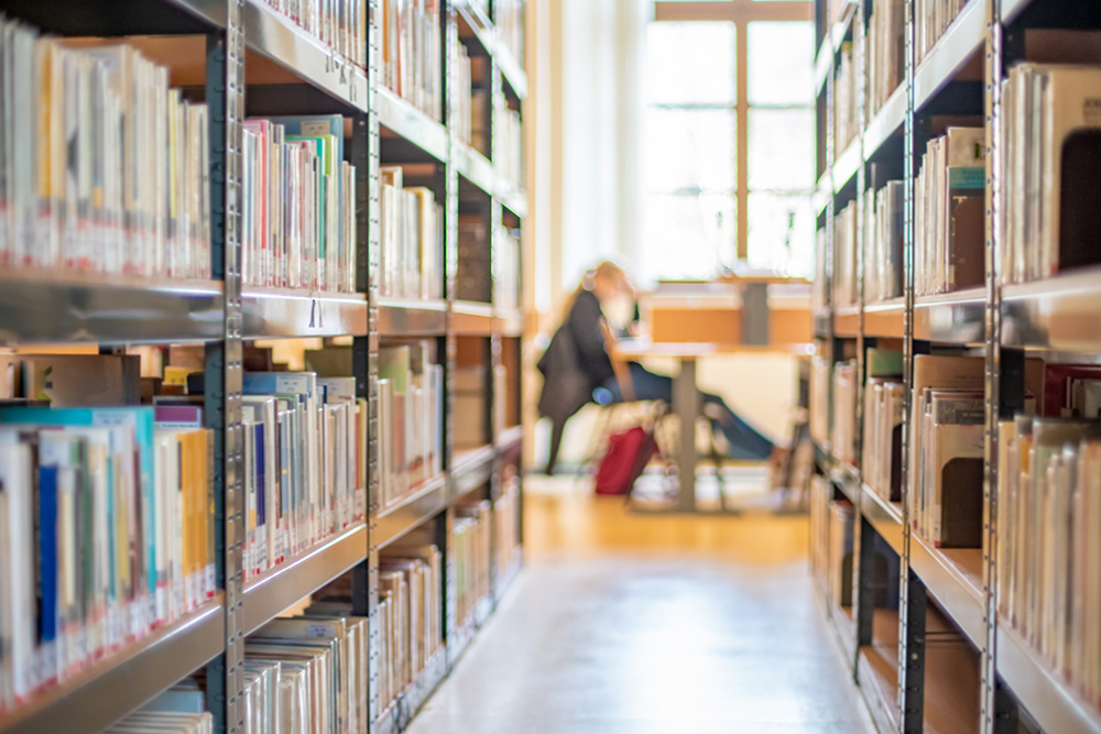 La biblioteca infantil
